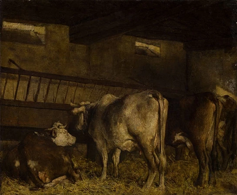 Interno di stalla - Collezione Poscio, Domodossola (VB)